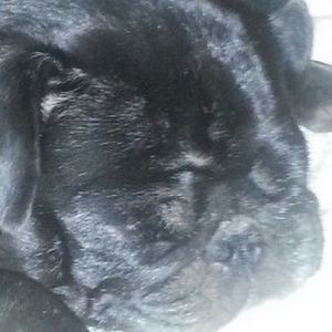 Meet your Posher, Sherry